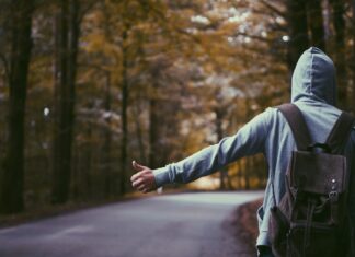 HITCHHIKER’S GUIDE TO COLLEGE